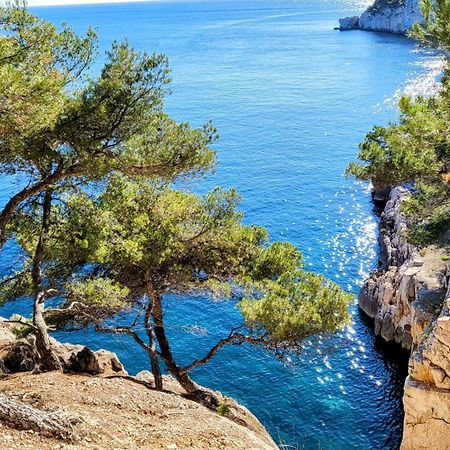 Le Paradis Bleu Calanque De Figuieres, Paddle Et Veranda Ensues-la-Redonne Eksteriør billede