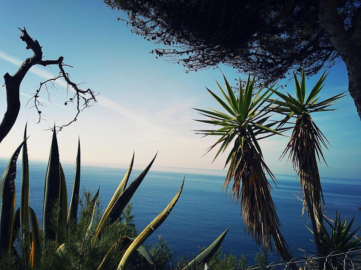 Le Paradis Bleu Calanque De Figuieres, Paddle Et Veranda Ensues-la-Redonne Eksteriør billede